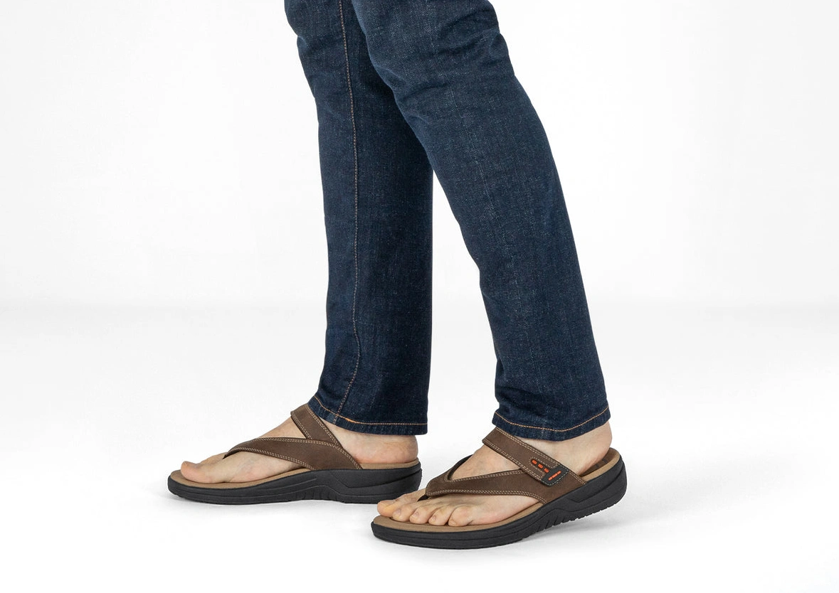 Best online shopping offers Eldorado Brown 0422